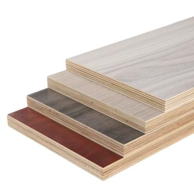 China Modern 25mm Thickness Birch Plywood Flat Film Faced Plywood for sale