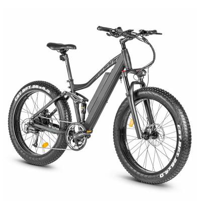 China Big Fat Tire Aluminum Alloy Women's Electric Bike 7 Speed ​​Mountain Bike Electric Mountain Bike for sale