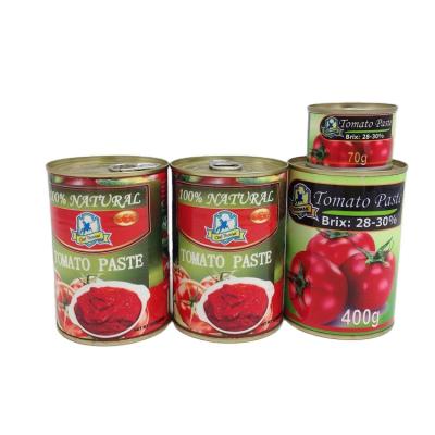 China Factory price delicious bulk canned tomatoes in OEM/ODM natural red tomato sauce for sale