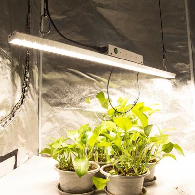 China VEG+BLOOM+COB 2020 led grow light led hydroponic growing light plants lighting systems for medicinal plants for sale