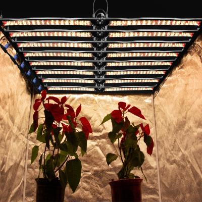 China FLOWER CE certified 6 inch for indoor gardening and hydroponics with Danish 5-year warranty gasp backing for sale