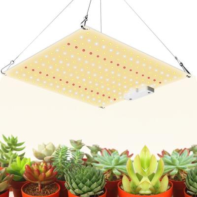 China FLOWER 150W LED Grow Lights Full Spectrum with 281b Diodes Hydroponic Plant Growing Lamps for 2x2ft Veg and Flower for sale