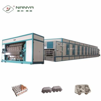 China Factory NANYA Rotary Recycle Waste Paper Egg Tray Machine for sale