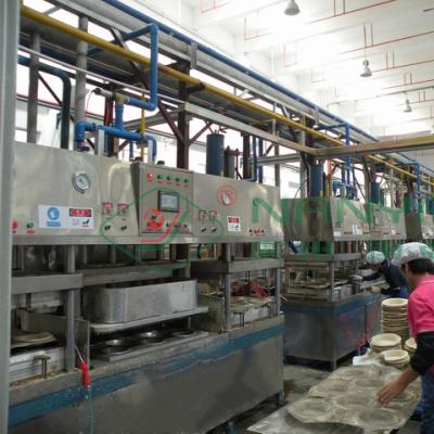 China Restaurant Sugar Cane Bagasse Pulp Pizza Tray Mixed Large Sandwich Box Making Machine for sale