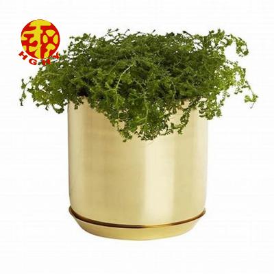 China Modern Gold Living Room Planter Pot Stainless Luxury Cylinder PVD Coated Metal Brass Vase for sale