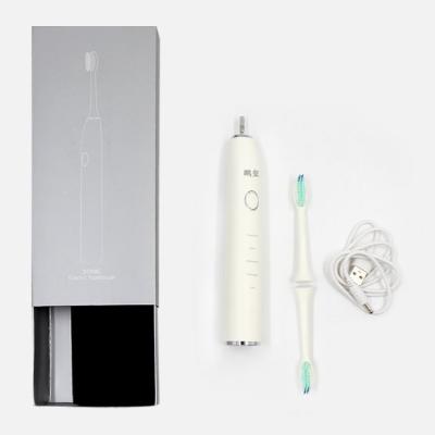 China Sonic Toothbrush China Cordless Travel Waterproof Rechargeable Smart Portable Electric Factory Rechargeable Toothbrush for sale