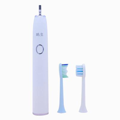 China PC Adult Electric Toothbrush + Dupont Bristle Customizable Ultrasonic Electric Rechargeable Soft Wool for sale