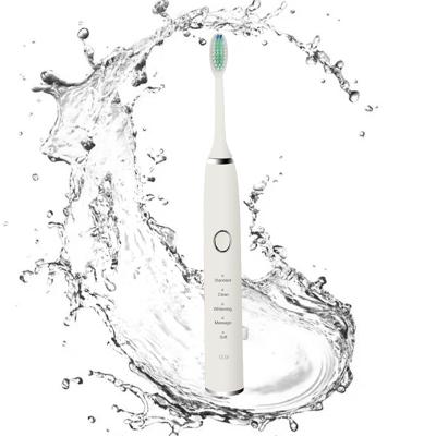 China ABS New Fashion Rechargeable Bristle Electric Toothbrush Rechargeable Private Soft Electric Waterproof Toothbrush For Adult for sale