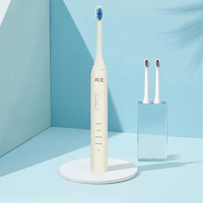 China ABS Multifunctional Oral Washable Water Ultrasonic Electric Toothbrush Massager for sale