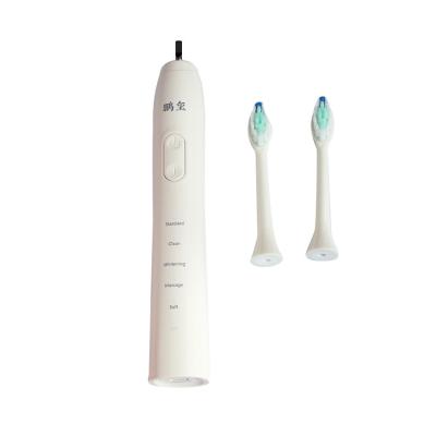 China 2021 Best-selling series small size best-selling electric toothbrush rechargeable sonic portable rechargeable with adult for sale