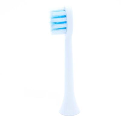 China RV Factory Direct Wholesale Electric Toothbrush Whitening Head for sale