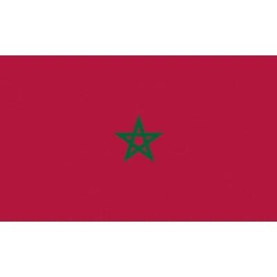 China The OTHER 60X90 90x150 cm Morocco flag during the national flags Moroccan for decoration for sale