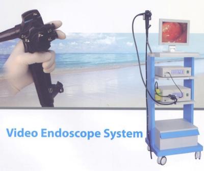 China High Definition Video Endoscopy System Gastroscopy / Colonoscopy In One Set for sale