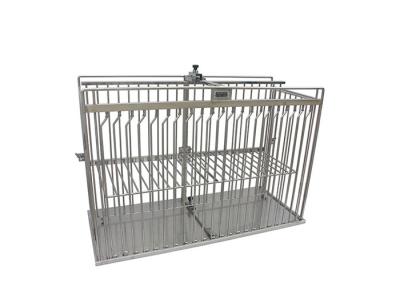 China Size Customized Square Tube Stainless Steel Animal Cages For Animal Injection for sale