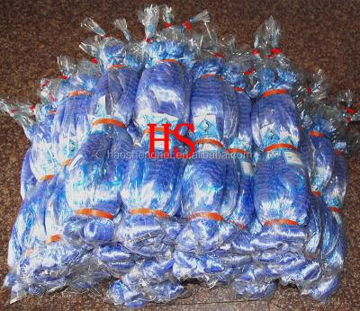 China Monofilament net (fishing net) with best stretched by vacuum capsule machine for sale