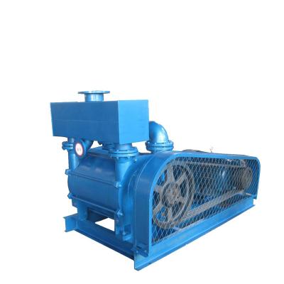 China Compressor Vacuum Pump State Biogas Vacuum Pump for sale