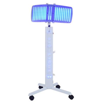 China Wholesale Therapy Lamp Face Dye Removal Bio-light Vertical Body Skin Tightening PDT Medical Led Therapy Electric Infrared Machine for sale