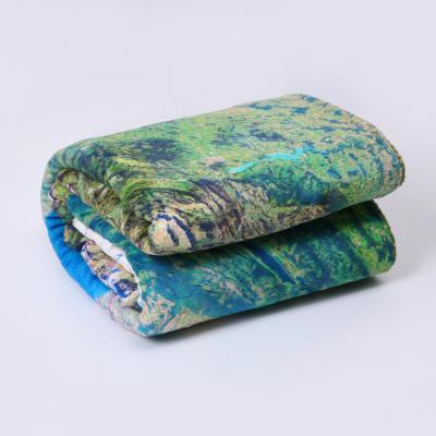 China 2021 high quality portable home disposable 100% polyester printed displacement to wrap stock lot blanket for sale