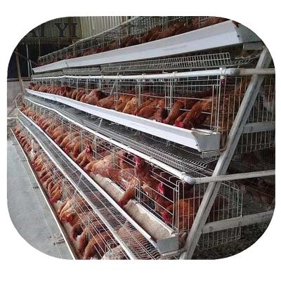 China Durable Poultry Battery Chicken Cages For Layers For Farms In Ghana for sale