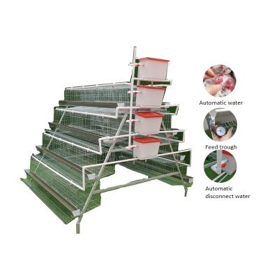 China Chicken Farms Zimbabwe Type A Automatic Chicken Feeders And Drinkers Cages For Egg for sale