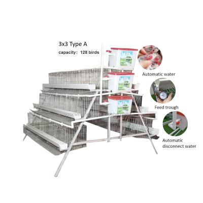 China Chicken Farms 3x3 Type One Layer Chicken Pen Cage Battery For Chicken Cage for sale