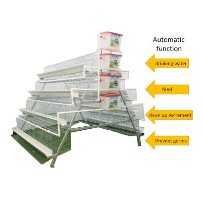 China Chicken Farms Lowest Price Automatic Chicken Layer Cages For Poultry Farm for sale