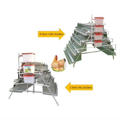 China Chicken Farms Layers Chicken Cage Hens Commercial Poultry Farm in Kenya for sale