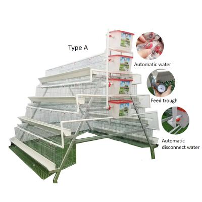 China Chicken Farms One Type Automatic Battery Chicken Egg Layer Cages Used In Poultry Farm for sale