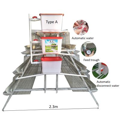 China Chicken Farms High Quality Porcelain Chicken Cages Used For Sri Lanka Farm for sale