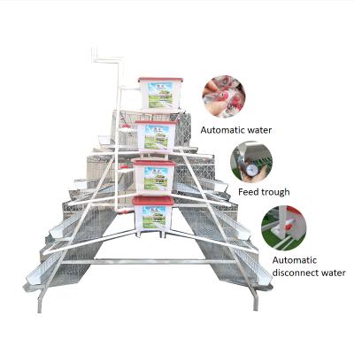 China Cheapest Chicken Farms Chicken Egg Layer Cage For Kenya Kenya 5000 Chicken Cage for sale