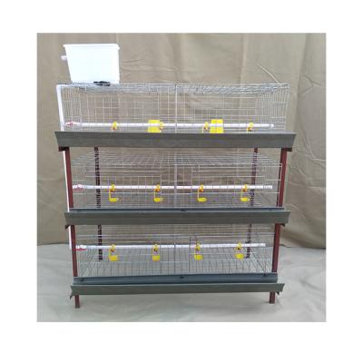 China Factory Price Fully Automatic Chicken Cage Layer Battery Cage Poultry Farm Easily Clean Broilers for sale