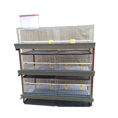 China Easily Clean Automatic H Type Layer Chicken Poultry Cage Plant Design for sale