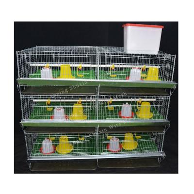 China Easy Install Animal 3 Tiers Baby Chick Cages Automatic Brooder Chicken Layer Cage Price In Sudan Farm for sale