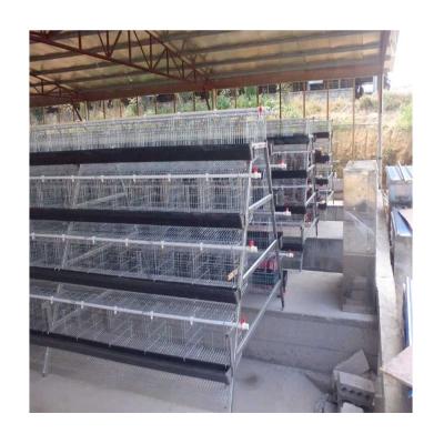 China Egg Chicken Feeding Checken Cages Poultry Farming / Chicken Cages For Laying Steel Eggs / Q235 Wire Mesh For Chicken Cage for sale