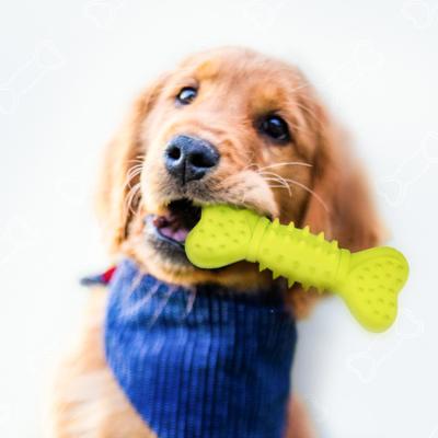 China Sustainable Wholesale Hard Durable Rope Dog Toys Rubber Pet Chew Toys for sale