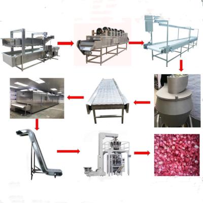 China Fruit Strawberry Blackberry Raspberry Jelly Bubble Washing IQF Production Line for sale