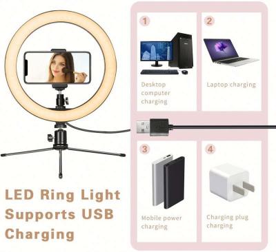 China Live Broadcast Selfie Ring Light Phone 120pcs Led 800Lumen Ring Light With Tripod And Dest Remote With 10 Inch Ring Light With Tripod Stand for sale