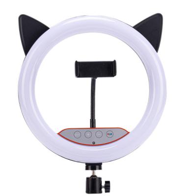 China Shine 10 Inch RGB With Cat Ears Ring Selfie Light Red Toned Living Photographic Lamp Beauty Photographic Lamp Self Color Multi Color Th for sale