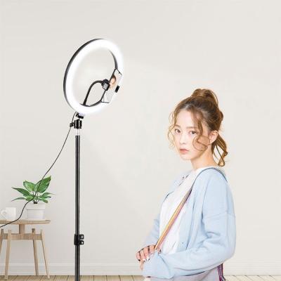 China MINI 3 Colors 10 Inch 26 cm Vlog Fill Light 10inch Portable Selfie Ring Light with Tripod Stand Phone Holder 0815 for sale