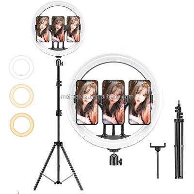 China Outdoor Stretchable Landing Led Ring Light Mobile Phone Live Selfie Tripod Stand Multi Clip 10 Inch Ring Light With Tripod Stand for sale