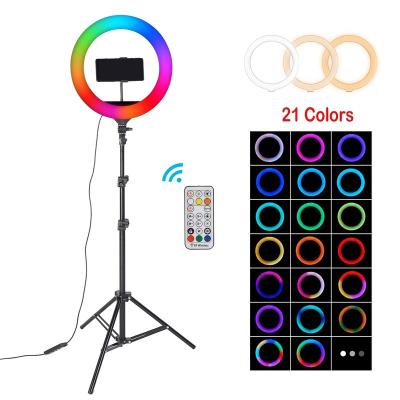 China Shine Photographic Tripod Led Ring Light 10 Inch Studio Tickok RGB Live Color 10 Inch Ring Light With Tripod Stand for sale