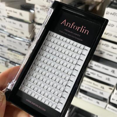 China Lightweight Anforlin Bulk 0.07 Premade 3d Eyelash Extensions Volume Fans 10d Lashes Extensions Trays Supplies for sale