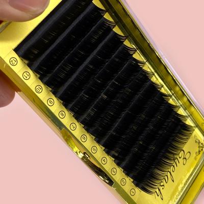 China Factory Price Light Weight Easy Fan Lash 0.03 Professional Eyelash Silk Lash Extension Tray Volume Supplies for sale