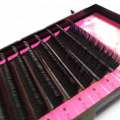 China Premade Volume Fans Lightweight Professional Silk Private Label Lashes Different Eyelash Extension Supplies for sale