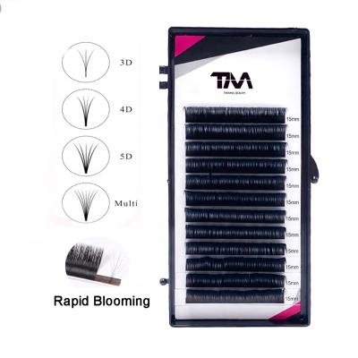 China Private Label Lightweight Synthetic 0.03 Pre Made Fast Volume Eyelash Extensions PBT Korean Bulk Eyelash Extensions Easy Fanning Deliveries for sale