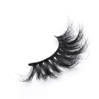 China Good quality box for lashes plastic cruelty free volume lashes for sale