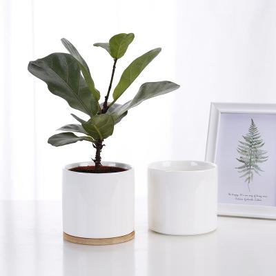 China High Quality Cylinder Bottom Elegant Matte White Glazed Ceramic Flower Pot Drain Hole With Bamboo Trays for sale