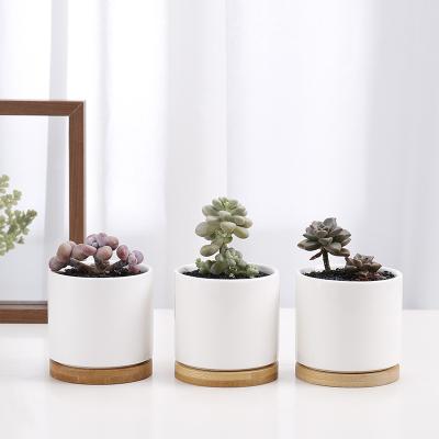 China Wholesale Cheap Indoor Small Plant Pot Europe Porcelain Plant Ceramic Succulent Pots For Plants for sale