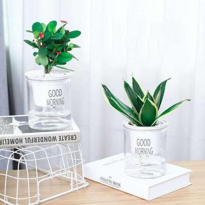 China Eco-friendly Indoor Transparent Clear Succulents Hydroponic Self Watering Plastic Flower Plant Planter Pots for sale