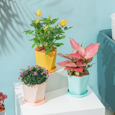 China Eco-friendly Nordic Colorful Geometric Indoor Macaron Flower Plant Planter Irregular Plastic Pots for sale